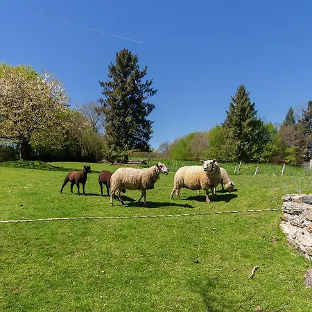 Holiday home Beautiful Near And Forest Payzac (Dordogne)